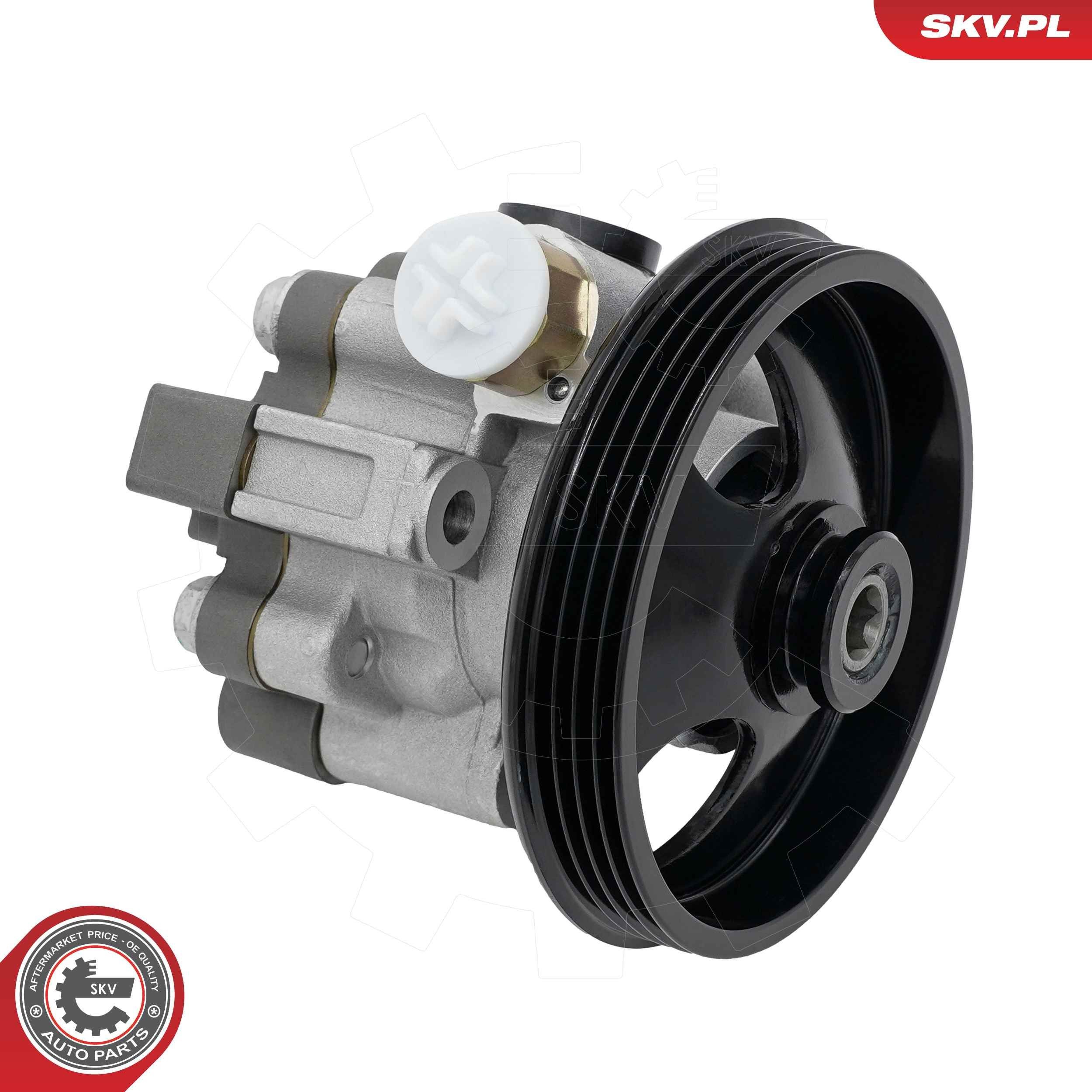 10SKV322 SKV